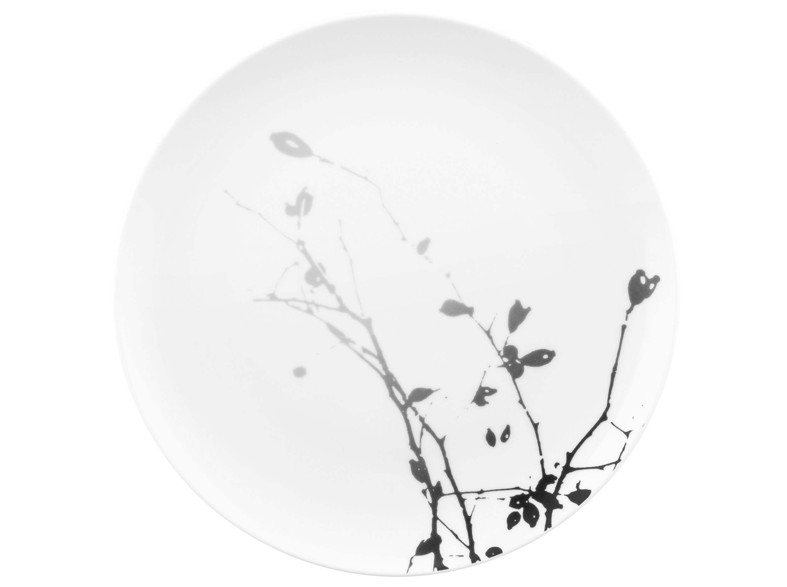 aec228e85d56f87945fb22cddeef025e