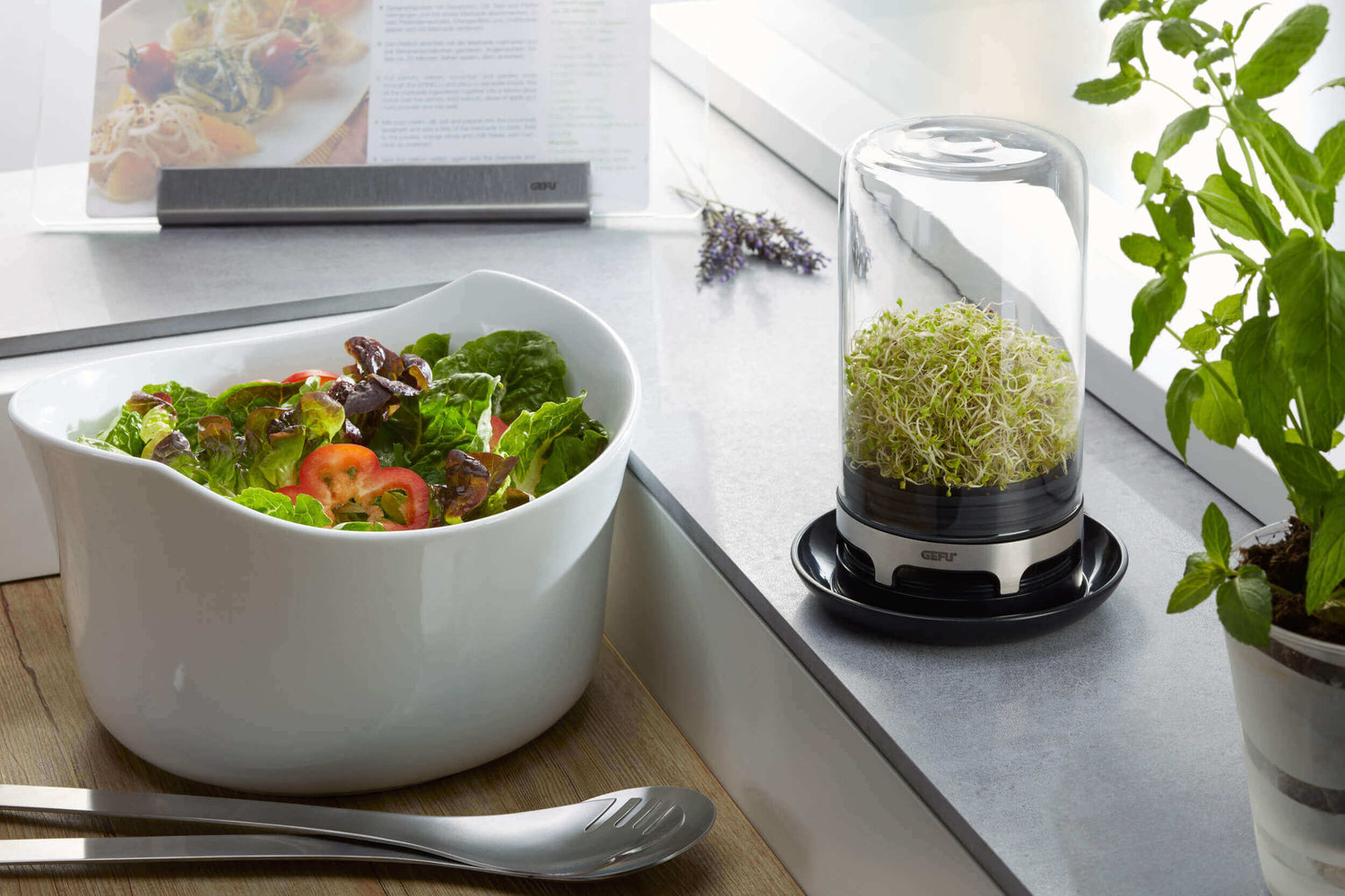 GEFU BIVITA Keimglas