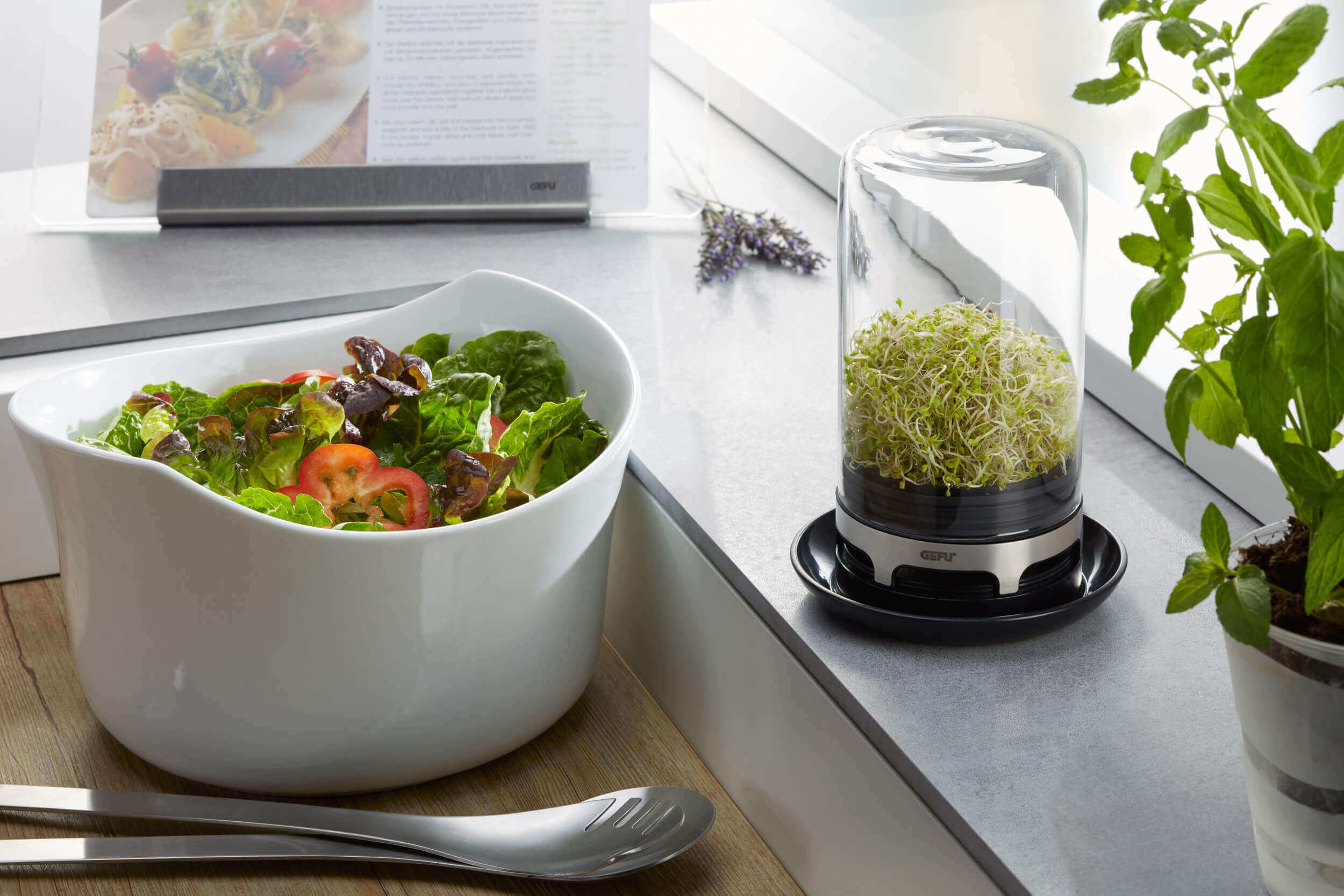 GEFU BIVITA Keimglas