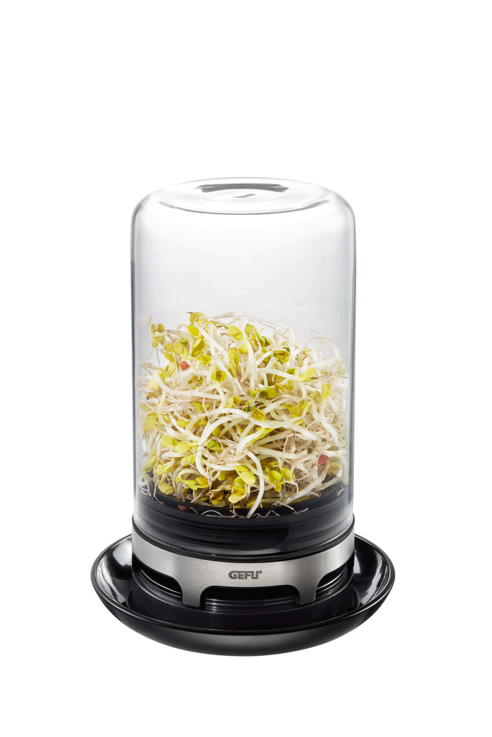 GEFU BIVITA Keimglas