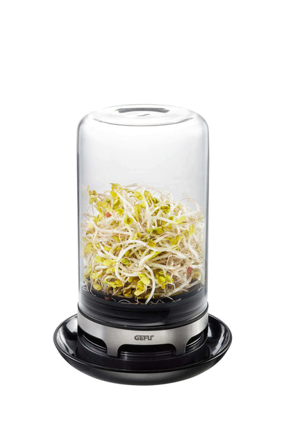 GEFU BIVITA Keimglas