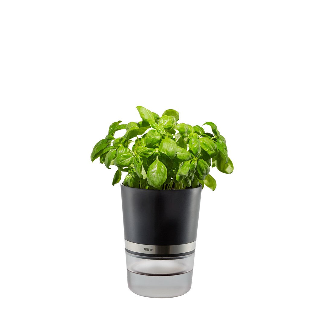 GEFU BOTANICO Kräutertopf