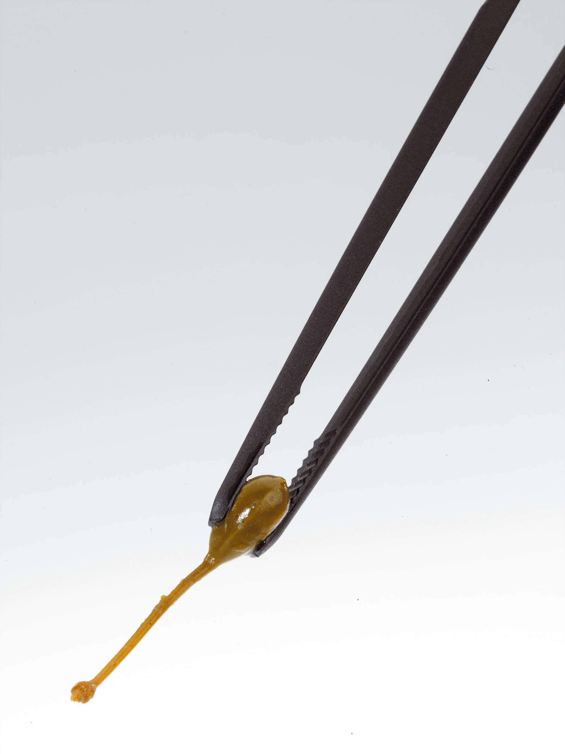 GEFU PICCOLINO Universelle Zangen